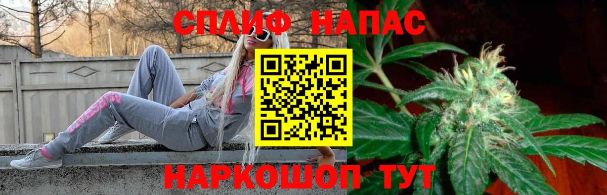 Канабис сатива Славянск-на-Кубани